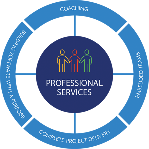 PROFESSIONAL SERVICES